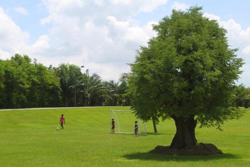 a group of people playing soccer in a field with a tree at Vietnam Golf - Lake View Villas in Ho Chi Minh City