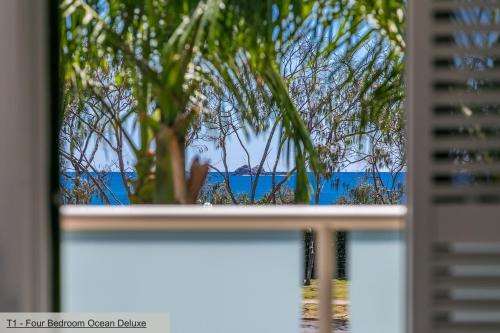 una ventana con vistas a un árbol y al océano en The Terraces Main Beach en Byron Bay