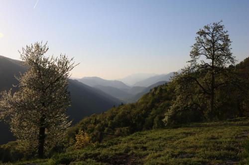Paisaje cerca de esta casa o chalet