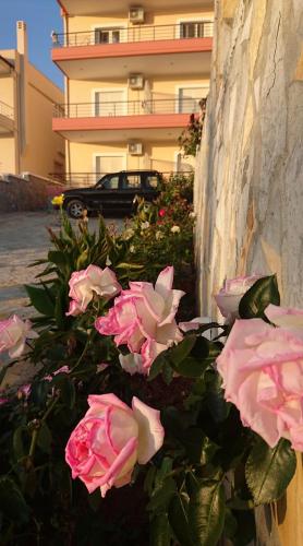 a bunch of pink roses in front of a building at Dhori House Dhermi in Dhërmi