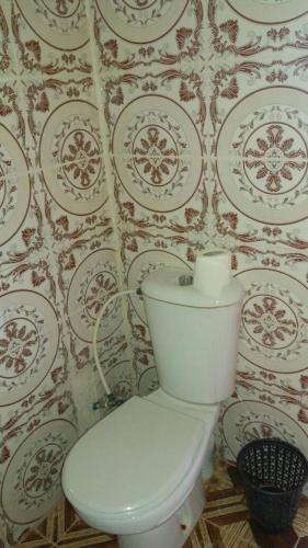 un aseo con un rollo de papel higiénico en la pared en Camping Les Palmeraies, en Tagounite