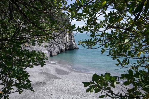 a view of a beach through some trees at Villa dei Limoni con terrazza e discesa a mare in Erchie