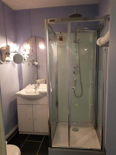a bathroom with a shower and a sink at Hôtel L'Univers in Châtellerault