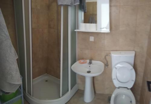 a bathroom with a toilet and a sink and a shower at Apartments Jovanović in Perast