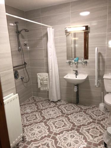 La salle de bains est pourvue d'un lavabo, de toilettes et d'une douche. dans l'établissement Gray's at Bushmills, à Bushmills