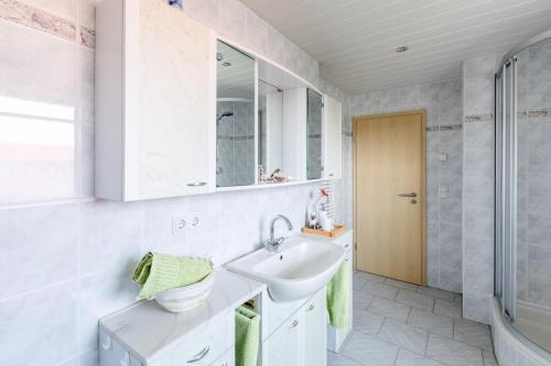 een witte badkamer met een wastafel en een douche bij Ferienwohnung Hetzdorf - Urlaub am Tharandter Wald in Hetzdorf