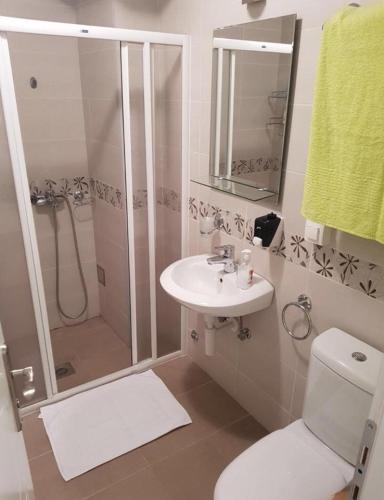 a bathroom with a shower and a toilet and a sink at Holiday Wing Apartment 2 in Jagodina