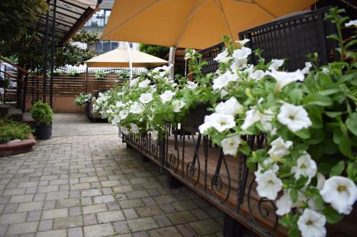 Taman di luar Hotel Aristocrat & Fish Restaurant
