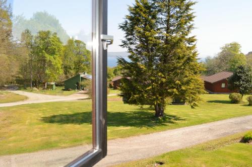 a mirror looking out of a window at a tree at Loch View Lodge in Dunoon