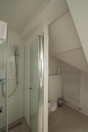 a bathroom with a shower and a toilet at Boutique-Hotel Kronenstuben in Ludwigsburg