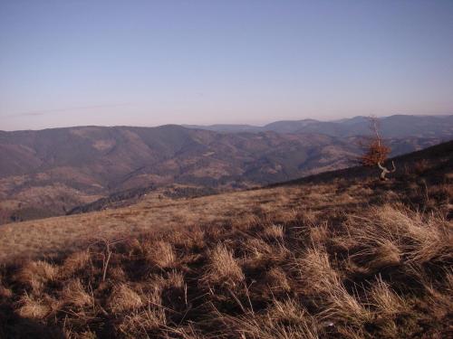 Gallery image of Terem in Slavske