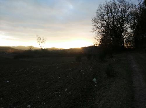 a field with the sun setting in the distance at Country Home in Tuscany in Colle Val D'Elsa