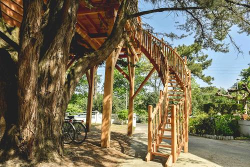 Κήπος έξω από το Logis Hôtel Emeraude des Bois
