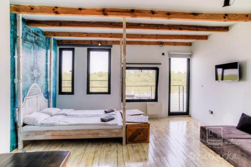 a bedroom with a bunk bed and a couch at ArkaBarka 2- Floating Dream Rooms and Apartments in Belgrade
