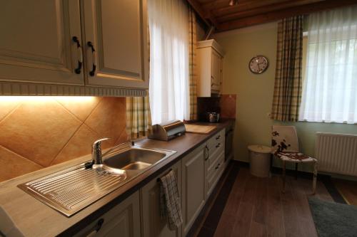 a kitchen with a sink and a counter top at HAUS LÄRCHEGG Wellness Apartments in Bad Kleinkirchheim