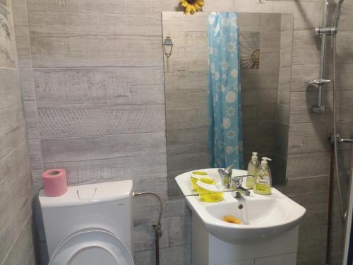 a bathroom with a toilet and a sink at Casa Rodisa in Turda