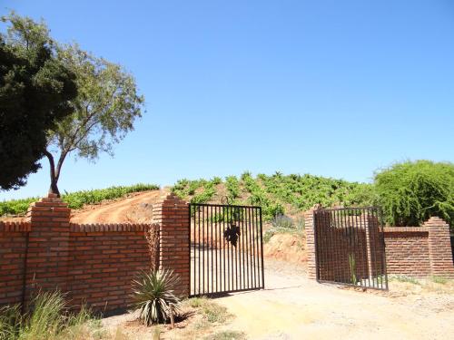Galería fotográfica de Viña Don Heraldo en Cauquenes