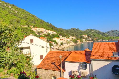 a view of a town and a body of water at Apartment Mambo in Sobra
