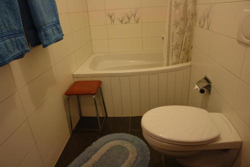 a small bathroom with a toilet and a bath tub at Myzermatt Monazit in Zermatt
