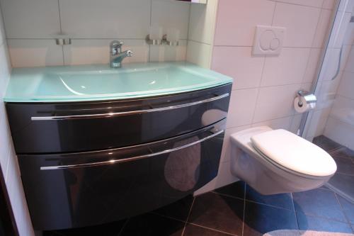 a bathroom with a sink and a toilet at Myzermatt Monazit in Zermatt