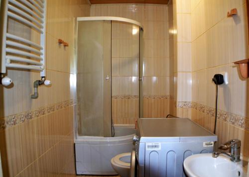 a bathroom with a shower and a toilet and a sink at Karpatski Prostory in Slavske