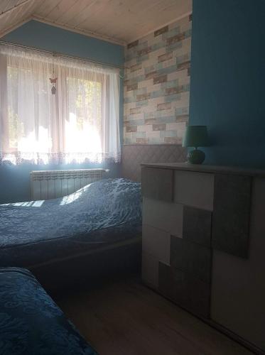 a bedroom with a bed and a window at Słoneczna Polana in Solina