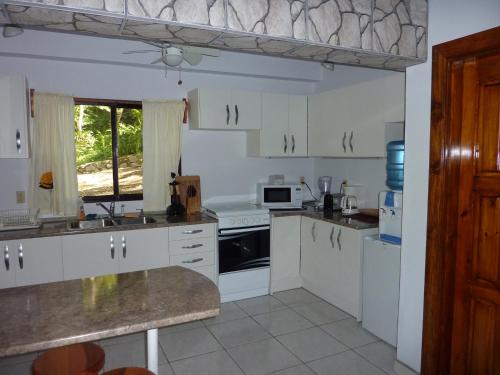 Kuchyň nebo kuchyňský kout v ubytování Villas Pico Bonito