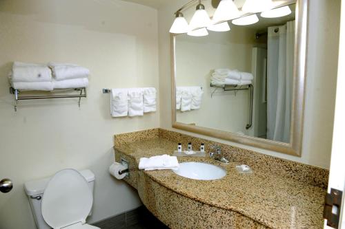 ห้องน้ำของ Country Inn & Suites by Radisson, Alpharetta, GA