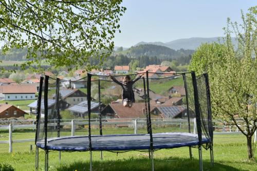 a person jumping on top of a trampoline at Pension Waldkristall in Frauenau