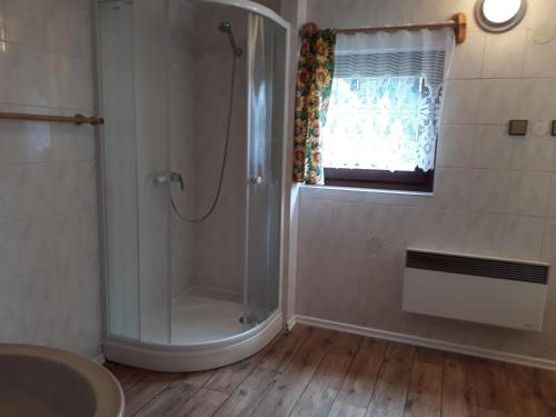 a bathroom with a shower and a sink at Dům v Lednici in Lednice