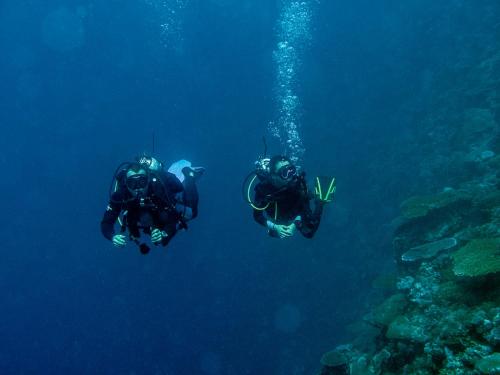 two people are scuba diving in the ocean at Oneta Resort in Ono Island