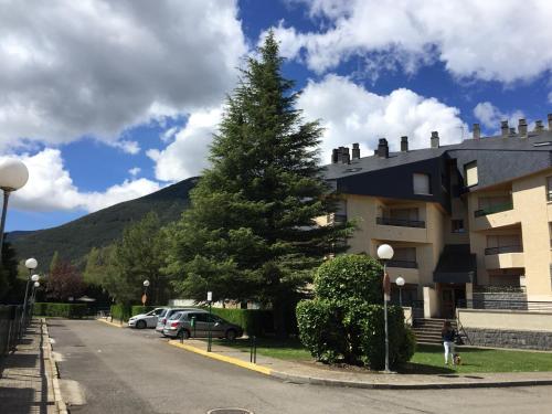 a large pine tree in front of a building at Tena Biescas Tourist Home in Biescas