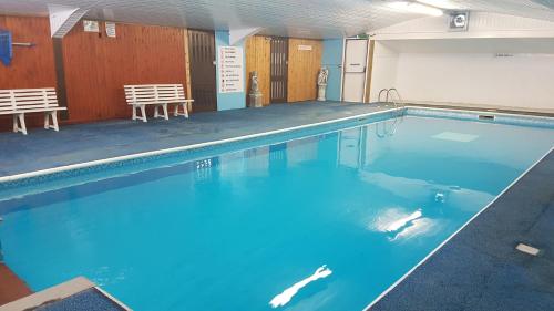 a swimming pool with a dolphin in the water at C28 Angels retreat in Par