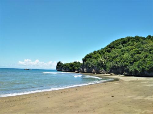 a beach with the ocean and trees in the background at Magindara Guesthouse in Caramoan