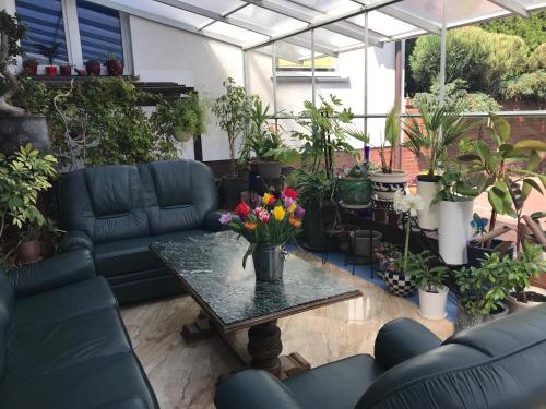 a living room with couches and a table with flowers at VITA Augustów in Augustów