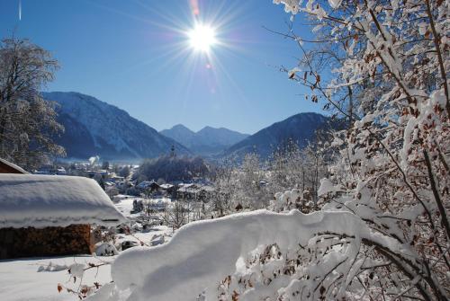 a snow covered tree with the sun in the background at Gästehaus Schröder in Ruhpolding