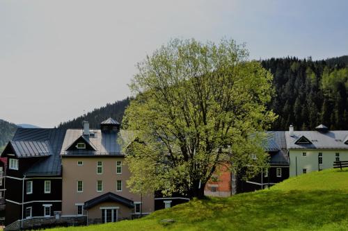 Příroda nedaleko apartmánu