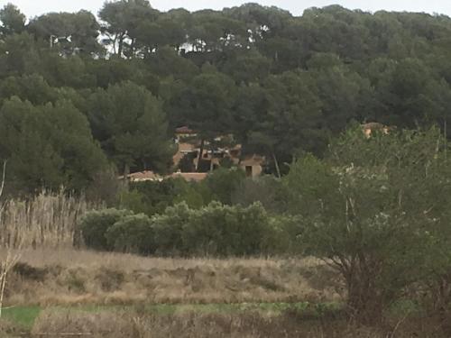 Φυσικό τοπίο κοντά σε αυτή η παραθεριστική κατοικία