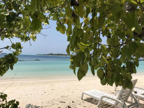 two lounge chairs on a beach with the ocean at Kahanbu Ocean View in Thulusdhoo