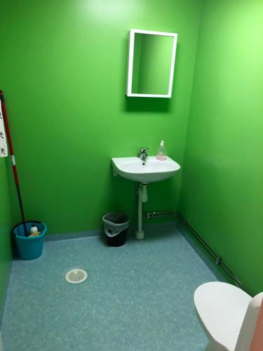 a green bathroom with a sink and a mirror at Björnvålsfallet in Deje