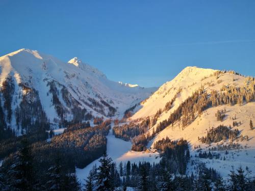 Gallery image of Alpenstern Hotel in Vordernberg