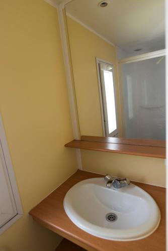 a bathroom with a white sink and a mirror at Camping Noguera Pallaresa in Sort