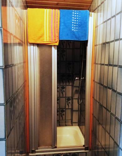 a shower with a mirror in a bathroom at Ferienwohnungen Wilhelmer in Liesing