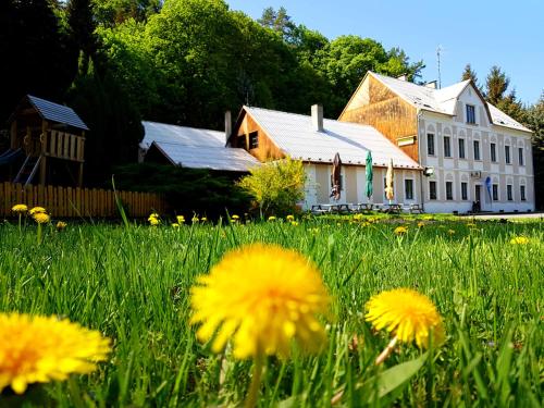 a field of yellow flowers in front of a building at Penzion Pod Houskou in Blatce