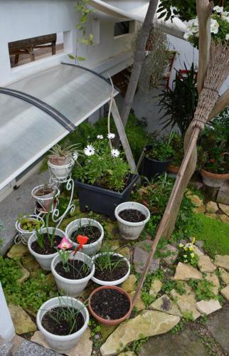 Jardín al aire libre en Prama 'e Mari