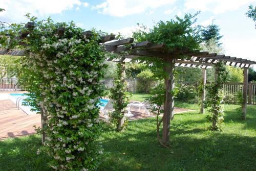 a pergola covered in flowers in a yard at Hôtel Le Barry, Toulouse Nord in Gratentour