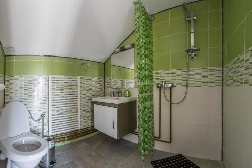 Koupelna v ubytování Casa Alex