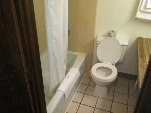 a bathroom with a toilet and a bathtub with a shower curtain at Heritage Inn Mansfield in Mansfield