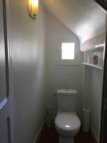 a small bathroom with a toilet and a window at Le charme d'othe in Bellechaume