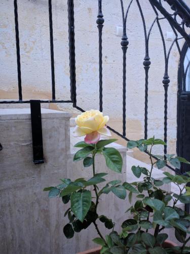 Gallery image of Sendian-guesthouse in Avanos